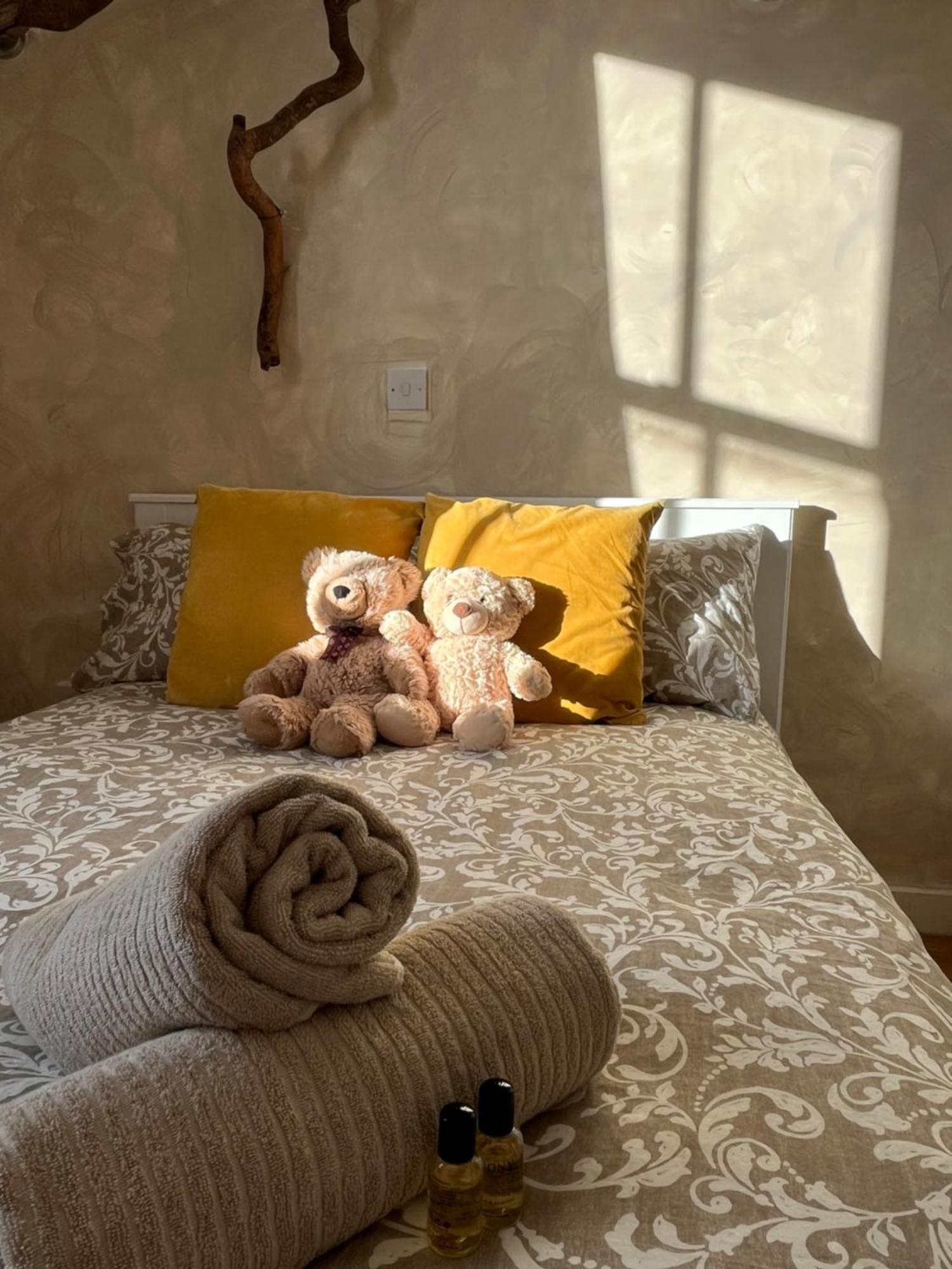 Apartment Cosy Camden 1 Bedroom Terrace
